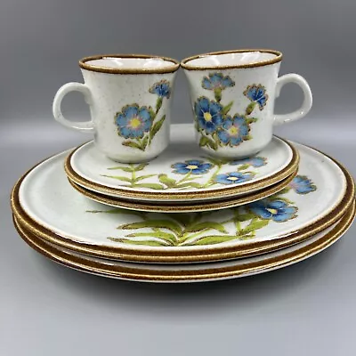 2 Vintage Mikasa Natural Beauty Cornflower Set C9007 Dinner & Salad Plates Cups • $40