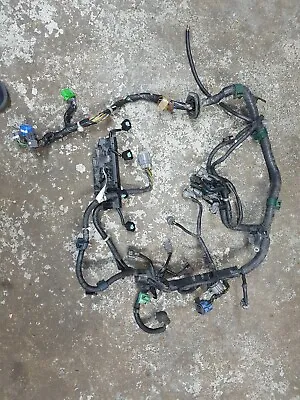 96-98 D16Y8 Honda Civic OBD2A Engine Harnesses.EK9EK4SiEM1EJ6ELD16z6. • $359.99