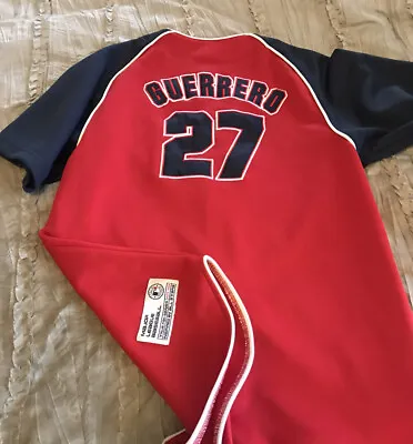 VLADIMIR GUERRERO Anaheim ANGELS True Fan SEWN Baseball Youth LARGE Jersey Red • $22.09