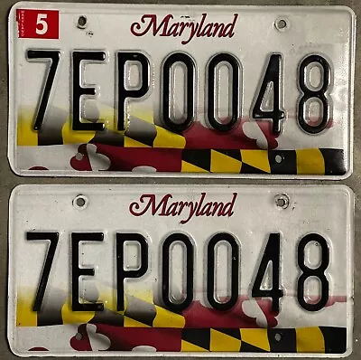 Maryland License Plate Pair - Colorful Checkboard Flag - 7ep0048 May 21 • $29.99