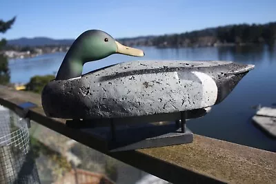 Mallard Drake Decoy L.L.Bean OP Preener Model Cork/wood. • $89