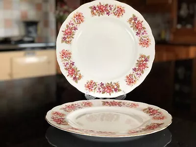 Vintage Colclough Wayside Dinner Plates X2 • £12.25