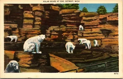 $3.95 • Buy Polar Bears At Zoo Detroit Michigan MI Unposted Postcard