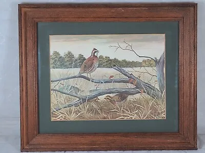 A.J. Rudisill Quail Print - 12 X10  -  Gamebird Hunting • $65