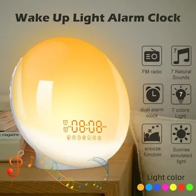 Wake-up Light Sunrise Alarm Clock LED FM Radio Snooze Clock Bedside Night Lamp • $50.49