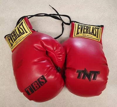 Vintage Everlast Boxing Gloves Red Lace Up Yellow Tag TNT TBS Series 10 Oz? • $29.99