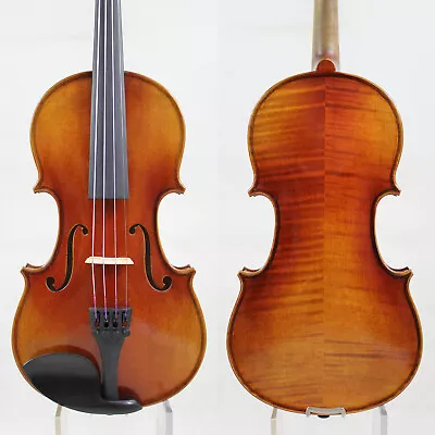 Handmade Violin ! 1/2 Size ! M7977 Rich Clear! • $299