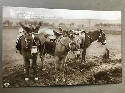 £5 • Buy Slack Days Donkey Rides Schwerdtfeger Berlin Posted 1915 Edwardian Postcard