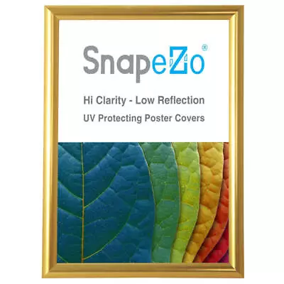 SnapeZo® Gold A3 Document Frame - 1  Profile • $39.99