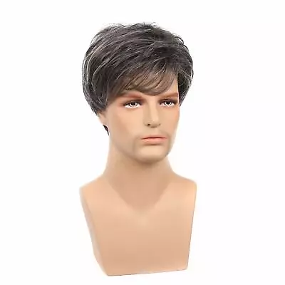 Brown Mixed Silver White Mid Age Men's Short Wig Natural Straight Synthetic Hair • $14.99