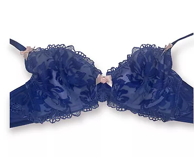 Bras N Things Blue Trevi Underwire Bra Size 12B NWT • $14.99