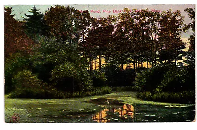 Malden MA Massachusetts Island Pond Pine Bank Park C 1911 Vintage Postcard • $7.99