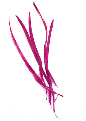 Long Fascinator Feathers Stripped Goose Biot Millinery Hats Trimmings Coloured • £2.99