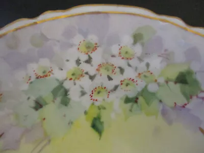 Antique Habsburg China Austria Hand Painted Flower Blossom Gold Gilt Cake Plate! • $29.99