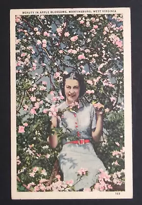 Beauty In Apple Blossoms Martinsburg West Virginia WV Linen Postcard C1950s • $14.99