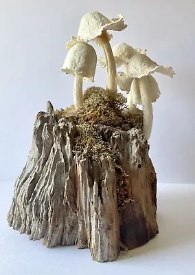 Handmade Sculpted Paper Mache Mushrooms On Driftwood Sculpture Figure • $51.40