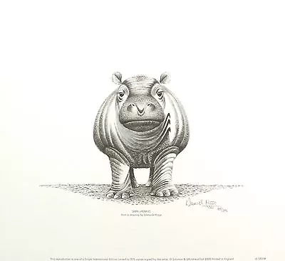 £27.29 • Buy WARWICK HIGGS  Small Pebbles  Baby Hippo SIGNED LTD ED! SIZE:30cm X 33cm NEW
