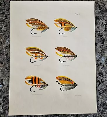 RARE Vintage Fly Fishing Art • Salmon Flies Plate 3 ☆ Wyman & Sons London 8x10  • $28