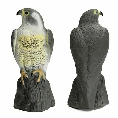 Large Decoy Falcon Bird Deterrent - Garden Bird Pest Cat Repeller Pond Scarcer • £9.95