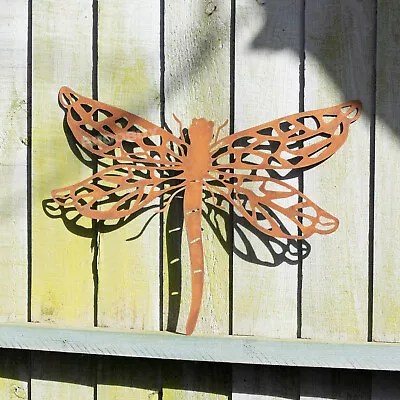 Rusty 38cm Dragonfly Silhouette Wall Art Decorative Hanging Ornament Sculpture • £16