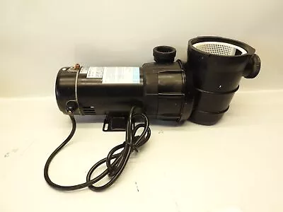 1.5 HP Dual Speed Swimming Pool Pump Above Ground Spa 1.5 In. NPT Fitting Strain • $129.95