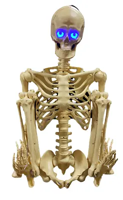 5' Plastic Posable Skeleton Decoration Prop W Life Like LED Animated Eyes New • $79.99