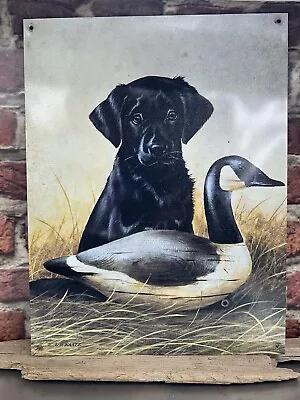 Black Lab Dog With Decoy Bird Hunting Special - Kaatz - Authentic Tin 12 X15 Art • $22