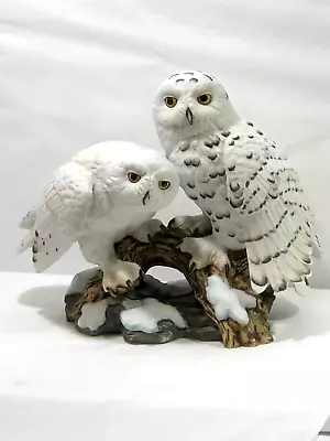 Maruri - Eyes Of The Night Snowy Owls #O-8809 Fine Porcelain Figurine 1988 • $149.99