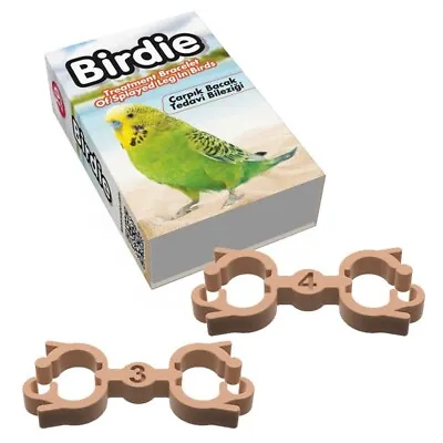 Ring Brace & Legs Plastic 3mm Canary Exotic Goldfinch • £9.74