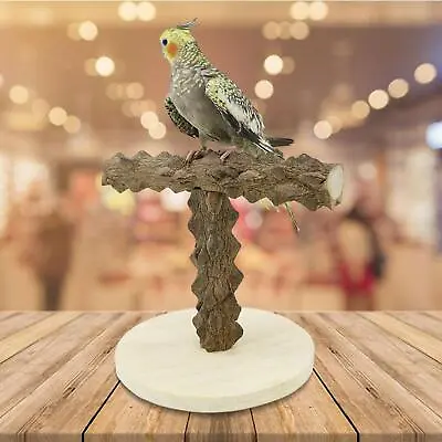 Parrot Play Stand Portable Pet Bird Playground For Cockatiel Macaws Parakeet • $18.07