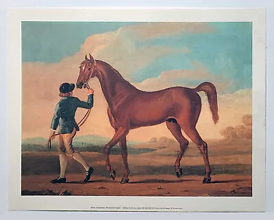 The Racehorse Regulus By Richard Roper (1730 - 1775) Reproduction Print • £20