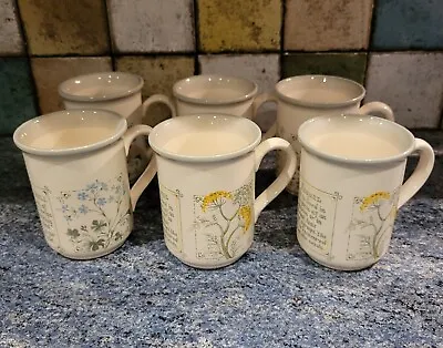 6 Vintage   Bilton Coloroll Set Of 4 Cranesbill & 2 Fennel Mugs • £10.99