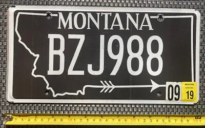 2019 MONTANA License Plate # BZJ988 One Heart Warrior American Indian Tribal • $12