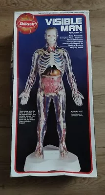 Visible Man Skilcraft  Anatomy Kit 74622  VINTAGE 1994 • $22.50