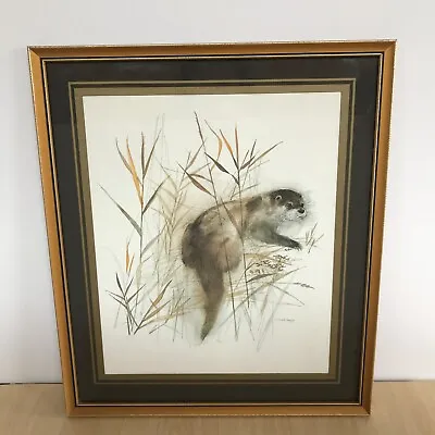Vintage Mads Stage Art Print Framed - Otter Wildlife Animals Medium 37x32cm • $24.60