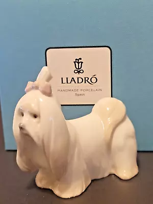 Lladro Maltese / Maltes Dog Figurine #8368 Brand New In Box • $240