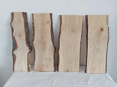 4 Spalted Birch Waney Edge Plank  Shelf • £15