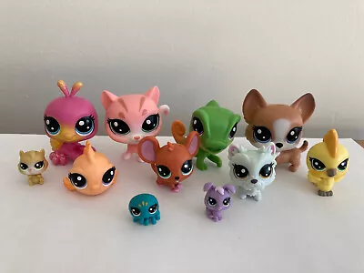 🌟Littlest Pet Shop House Pets Set Series 1 COMPLETE SET 11 PC LPS CHAMELEON CAT • $29.99