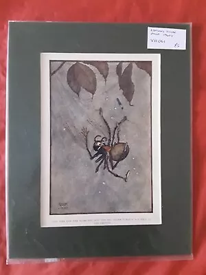 Edmund Dulac Artist  - Spider And Web - Print 1940s • £5