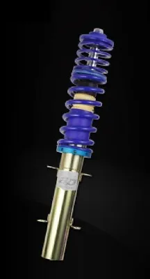 Ap Coilovers Fits For Volkswagen Polo 9N • $1080.13