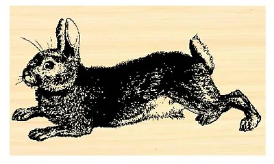 P39 Rabbit Rubber Stamp WM  Victorian Style • $10