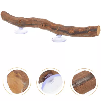 $11.16 • Buy Interesting Reptile Toy Bearded Dragon Accessories Decoration Home Reptile Tank