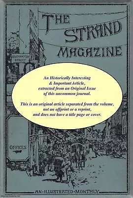 Cricket Match ; Obstacle Racing ; Slinging The Monkey ; Cockfighting & More : Pa • £15.49