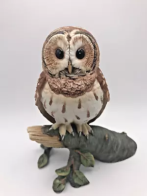 1986 Barred Owl Hamilton Collection Maruri Majestic Owls Of The Night Figurine • $29