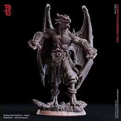 Draconian Fighter - Male - The Crimson Calamity - Flesh Of Gods - Wargaming D&D  • £65.76