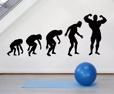 Vinyl Wall Decal Evolution Of Man Gym Bodybuilding Body Muscles Stickeers 1316ig • $47.99