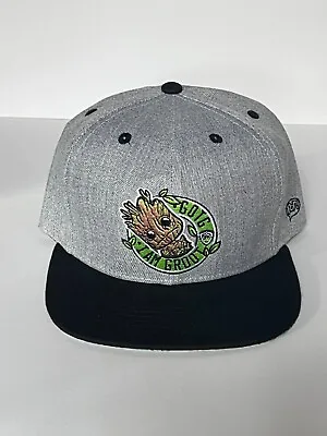 🔥 New Funko Pop GROOT GOTG Marvel Collector's Corps Snapback Hat 🔥 • $12.99