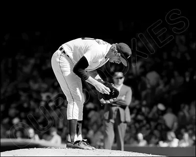 Mark Fidrych Photo 8X10 - 1976 Detroit Tigers  Buy Any 2 Get 1 Free • $7.95