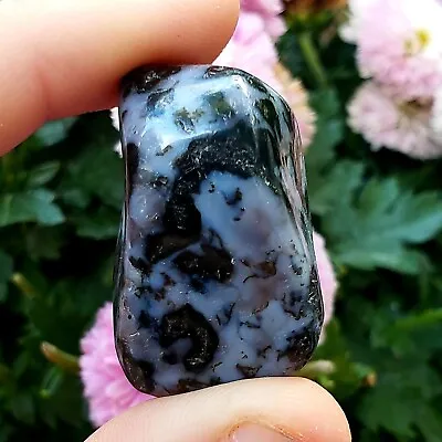 Mystic Merlinite Indigo Gabbro Natural Rough Crystal Healing Gemstone 1pc Larger • $9.98