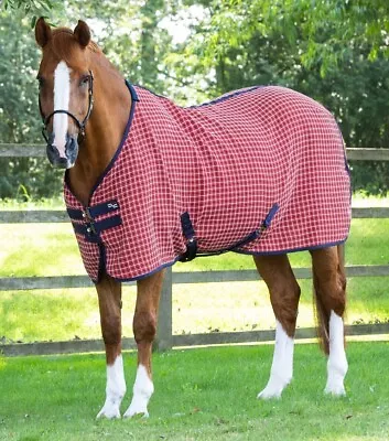 Horse Rugs • £25